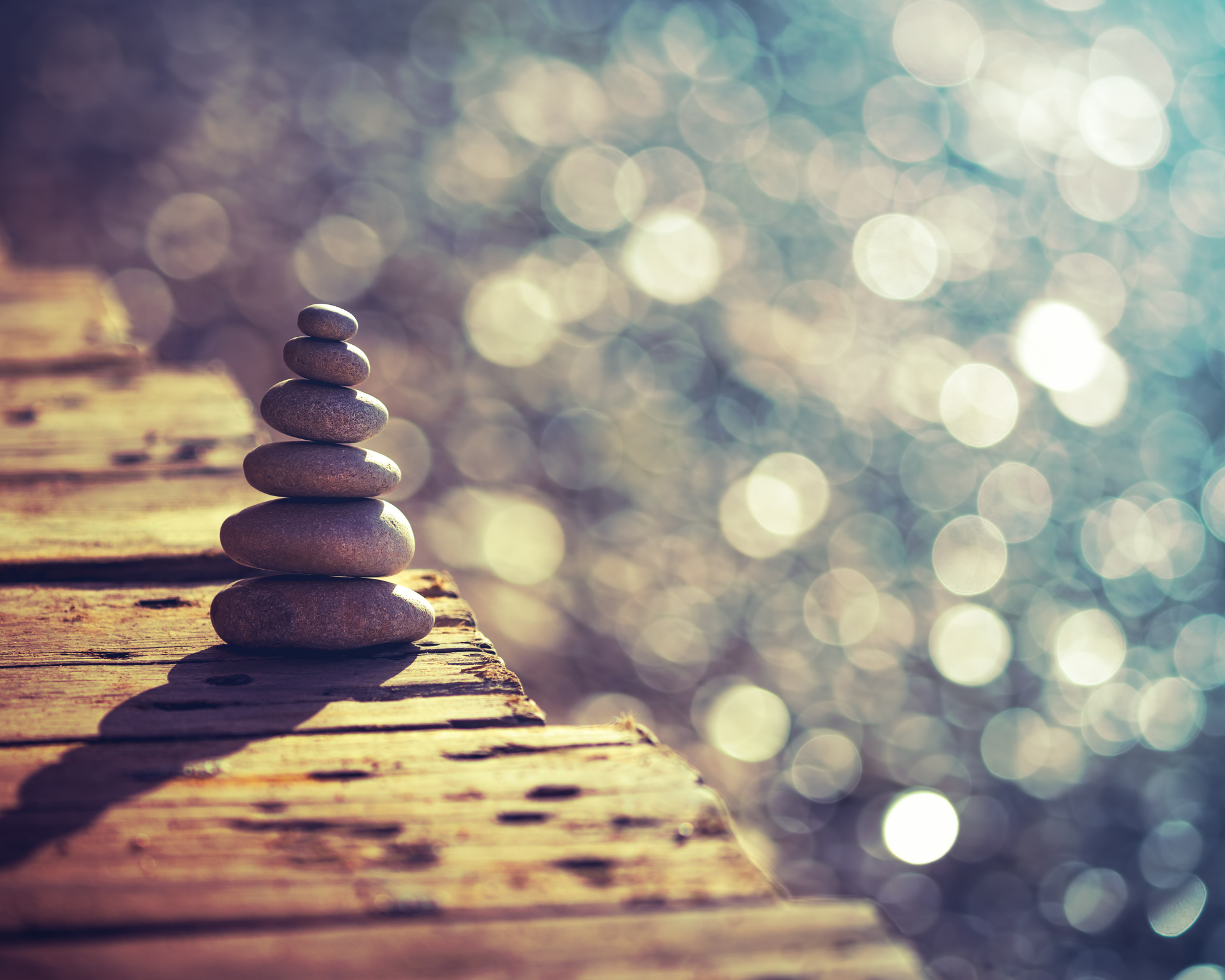 Finding the Center: The Power of Stillness in the Midst of Chaos